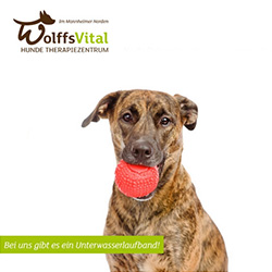 Wolffs Vital - Die Physiotherapie für Ihren Hund in Mannheim
